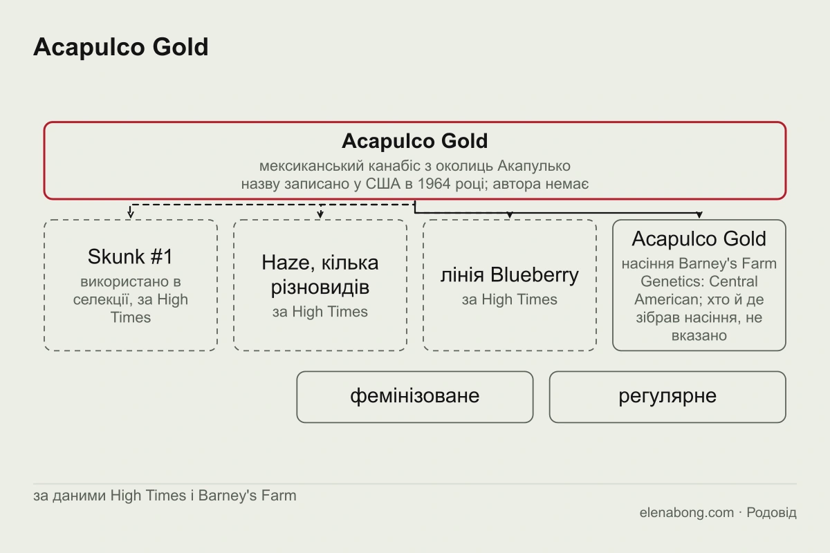 Схема: мексиканський канабіс з околиць Акапулько, відомий під назвою Acapulco Gold з 1964 року, сорти, які з ним пов'язує High Times, і сучасне насіння Barney's Farm з позначкою Central American
