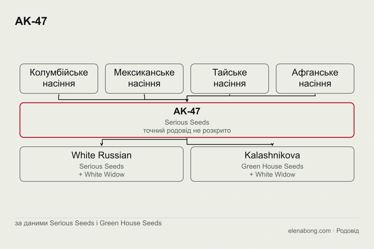 Схема родоводу AK-47: колумбійське, мексиканське, тайське й афганське насіння дають AK-47 від Serious Seeds, а від нього походять White Russian і Kalashnikova