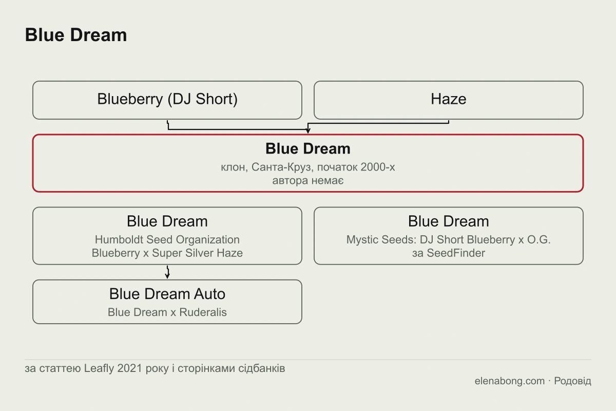 Схема найпоширенішої версії родоводу Blue Dream: Blueberry від DJ Short і Haze дають клон Blue Dream із Санта-Круза, а нижче показано насіннєві версії сідбанків з іншими батьками