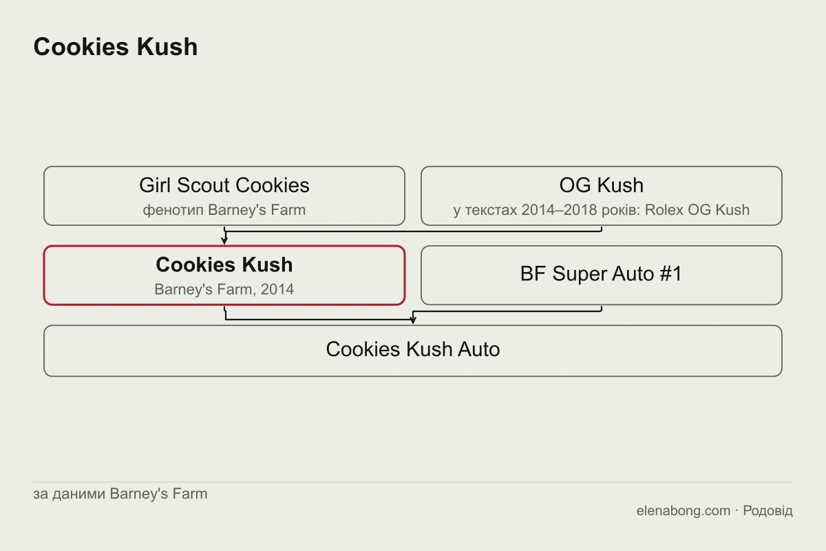 Схема родоводу Cookies Kush за даними Barney's Farm: Girl Scout Cookies і OG Kush дають Cookies Kush, від якого з лінією BF Super Auto #1 отримано Cookies Kush Auto