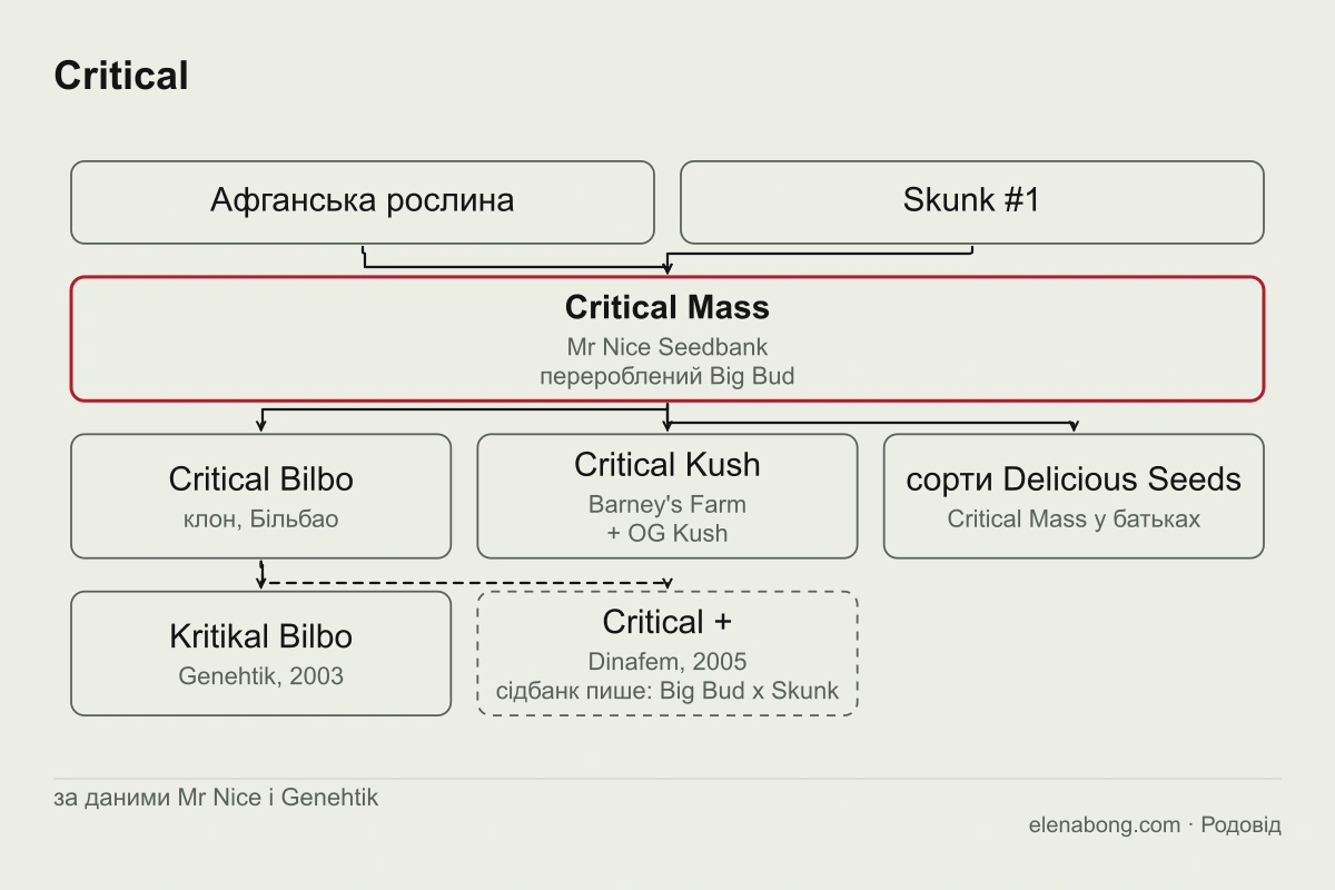 Схема родоводу Critical: афганська рослина і Skunk #1 дають Critical Mass від Mr Nice, з його насіння відібрано клон Critical Bilbo, від якого походять Kritikal Bilbo і Critical +