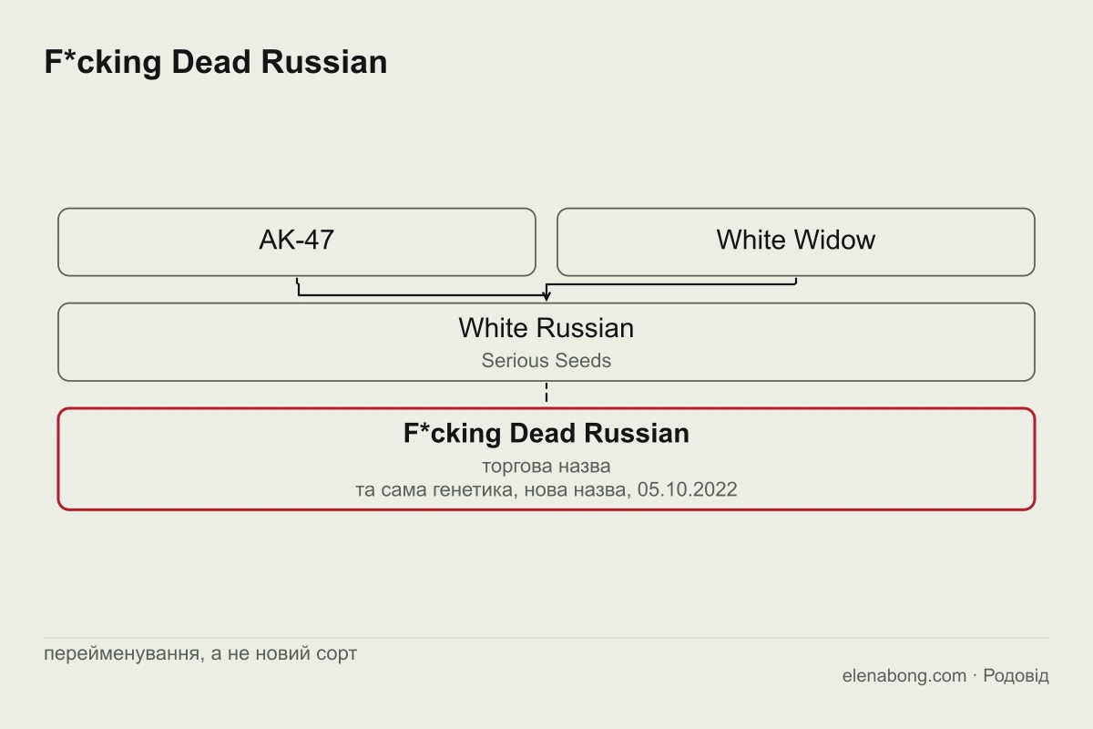 Схема: AK-47 і White Widow дають White Russian сідбанку Serious Seeds, який український магазин у 2022 році перейменував на Dead Russian