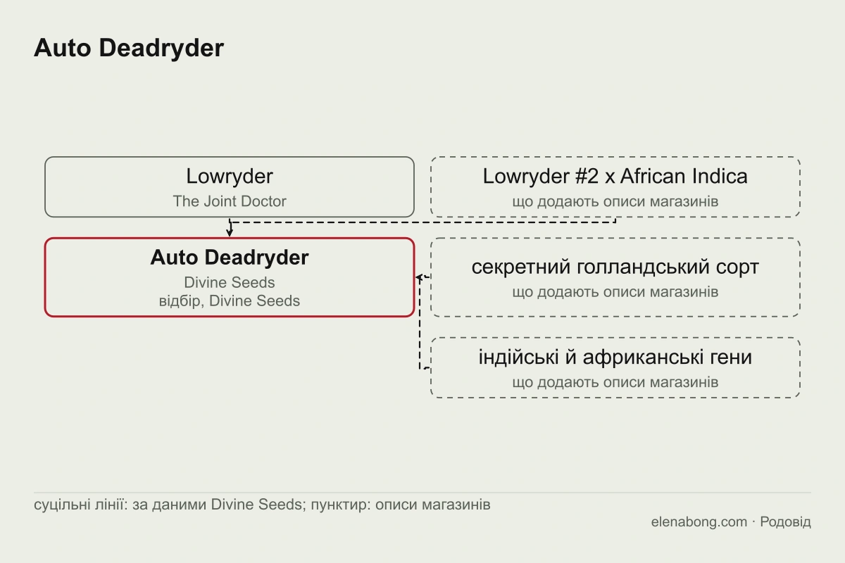 Схема заявленого родоводу Auto Deadryder: Lowryder селекціонера The Joint Doctor і відбір у Divine Seeds, збоку версії магазинів про додані сорти
