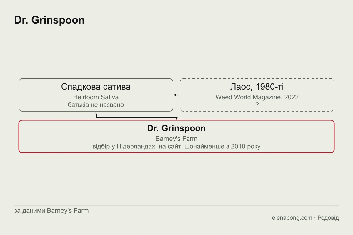 Схема походження Dr. Grinspoon за даними Barney's Farm: спадкова сатива без названих батьків, відбір у Нідерландах і сорт Dr. Grinspoon; країну походження Лаос подано як версію журналу Weed World