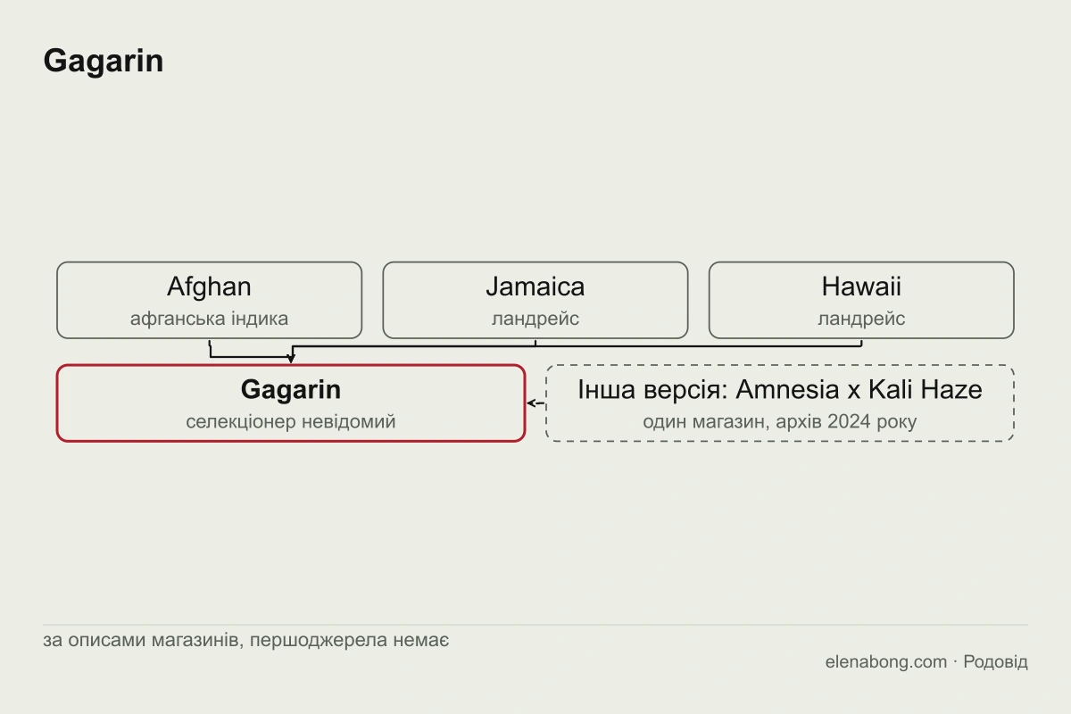 Схема заявленого родоводу Gagarin: афганська індика, рослини з Ямайки й Гаваїв за описами магазинів і окремо версія Amnesia x Kali Haze