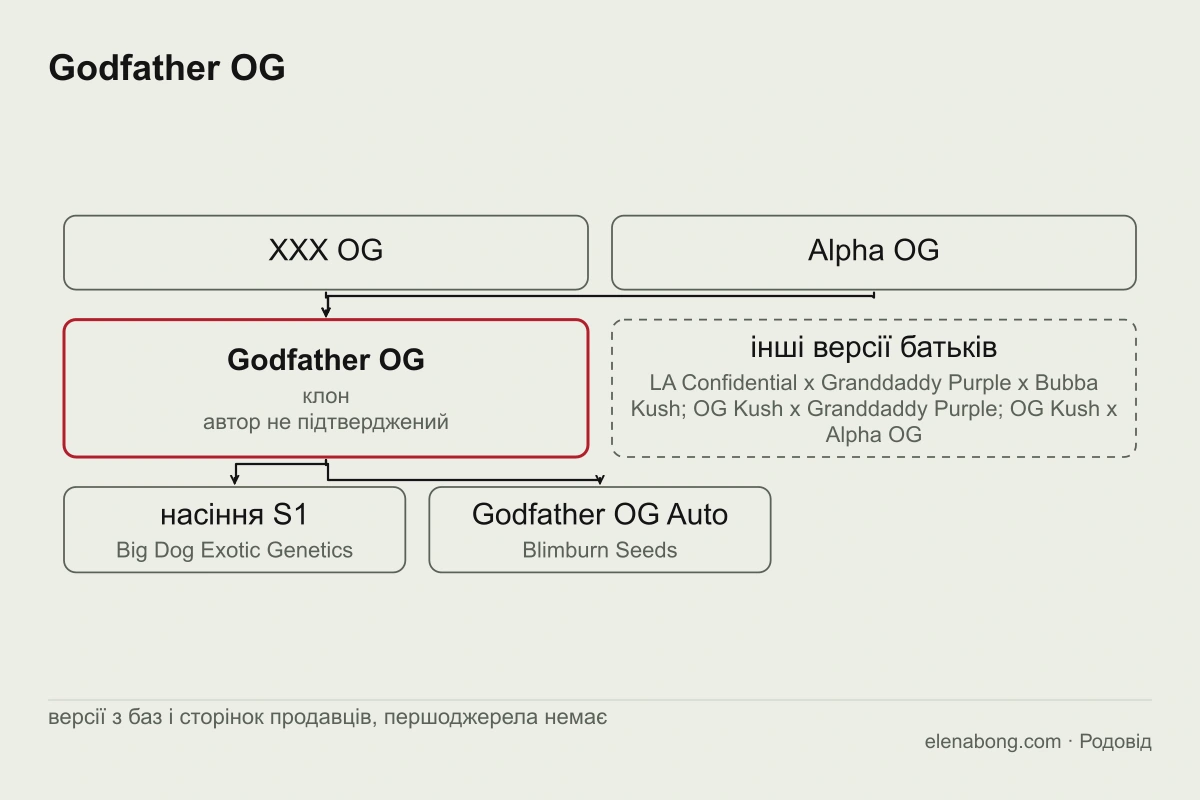 Схема найпоширенішої версії родоводу Godfather OG: XXX OG і Alpha OG дають клон Godfather OG без підтвердженого автора, від якого продавці отримали фемінізоване насіння S1 і автоквітучу версію