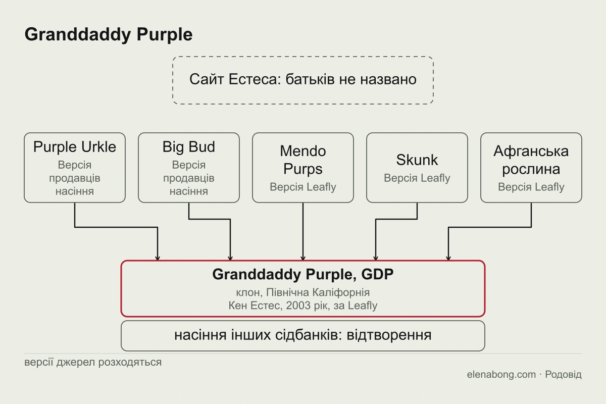 Схема двох версій родоводу Granddaddy Purple: за продавцями насіння це Purple Urkle і Big Bud, за базою Leafly це Mendo Purps, Skunk і афганська рослина; сайт Кена Естеса батьків не називає