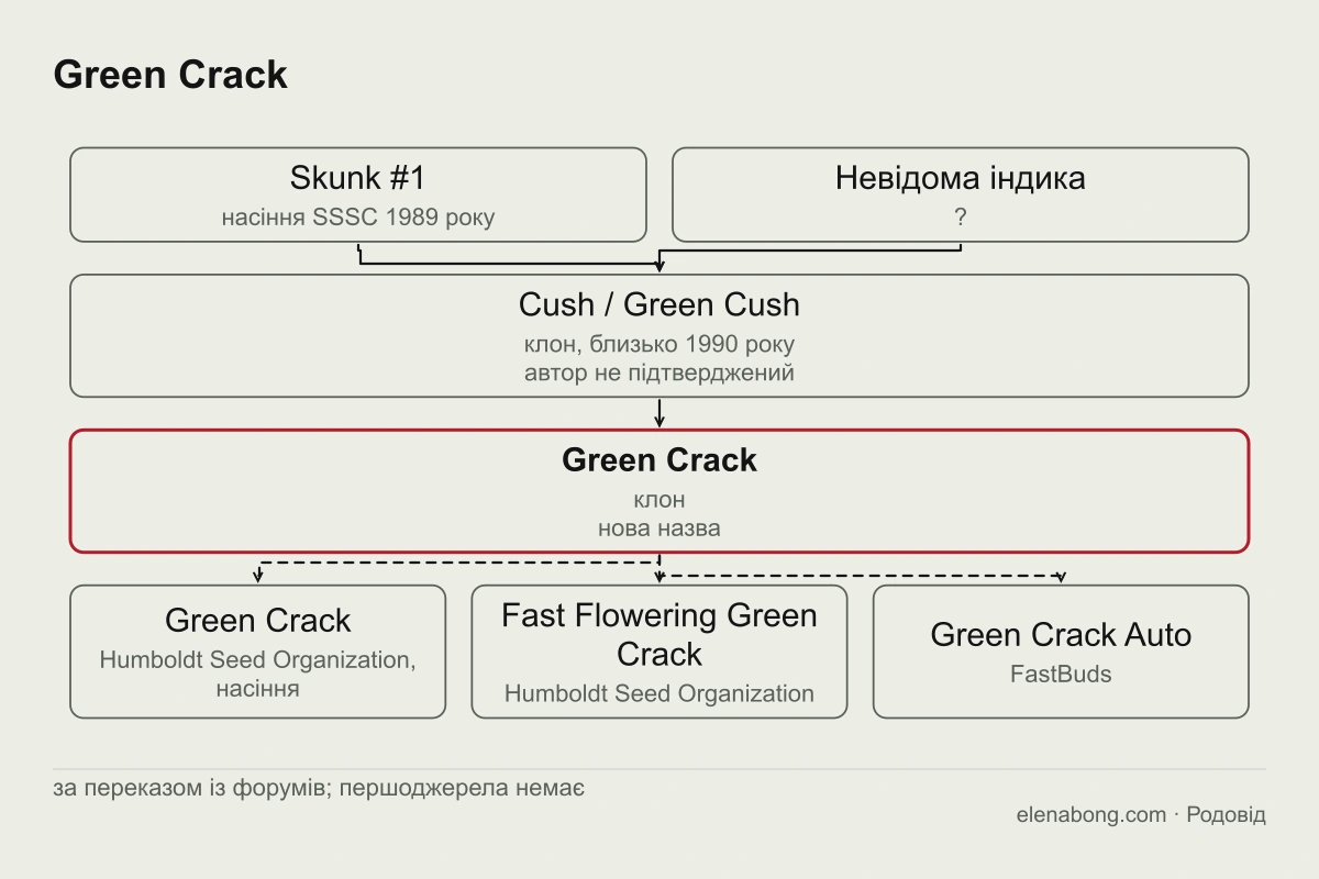 Схема родоводу Green Crack за форумним переказом: Skunk #1 із насіння SSSC 1989 року і невідома індика дають клон Cush, який у Каліфорнії отримав назву Green Crack