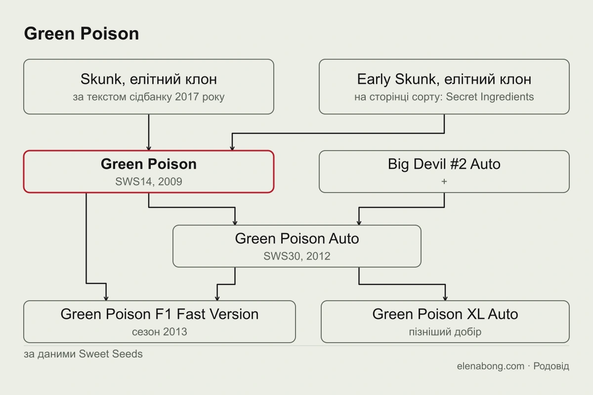 Схема родоводу Green Poison за даними Sweet Seeds: клони Skunk і Early Skunk дають Green Poison, від якого походять Green Poison Auto, Green Poison F1 Fast Version і Green Poison XL Auto