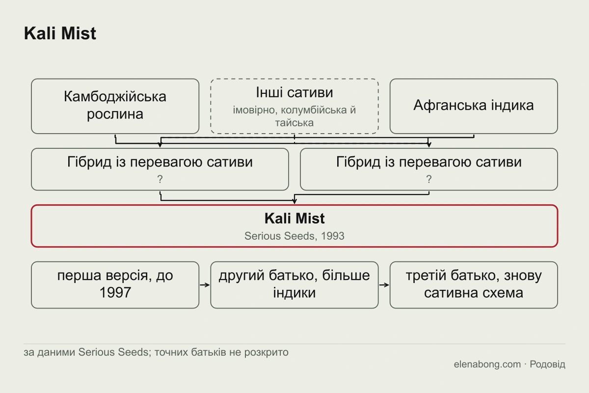 Схема родоводу Kali Mist за даними Serious Seeds: камбоджійська рослина, інші сативи й афганська індика через два сативні гібриди дають Kali Mist 1993 року