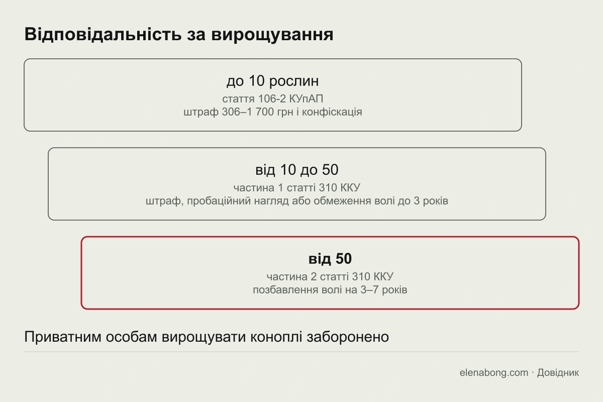 Схема відповідальності за вирощування конопель в Україні: до 10 рослин, від 10 до 50, від 50