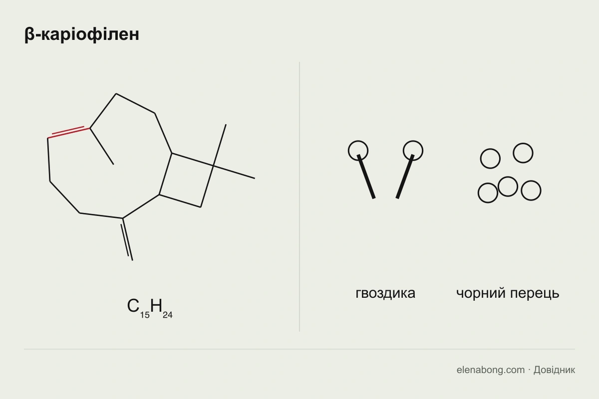 Структурна формула бета-каріофілену і прянощі, що його містять: гвоздика й чорний перець