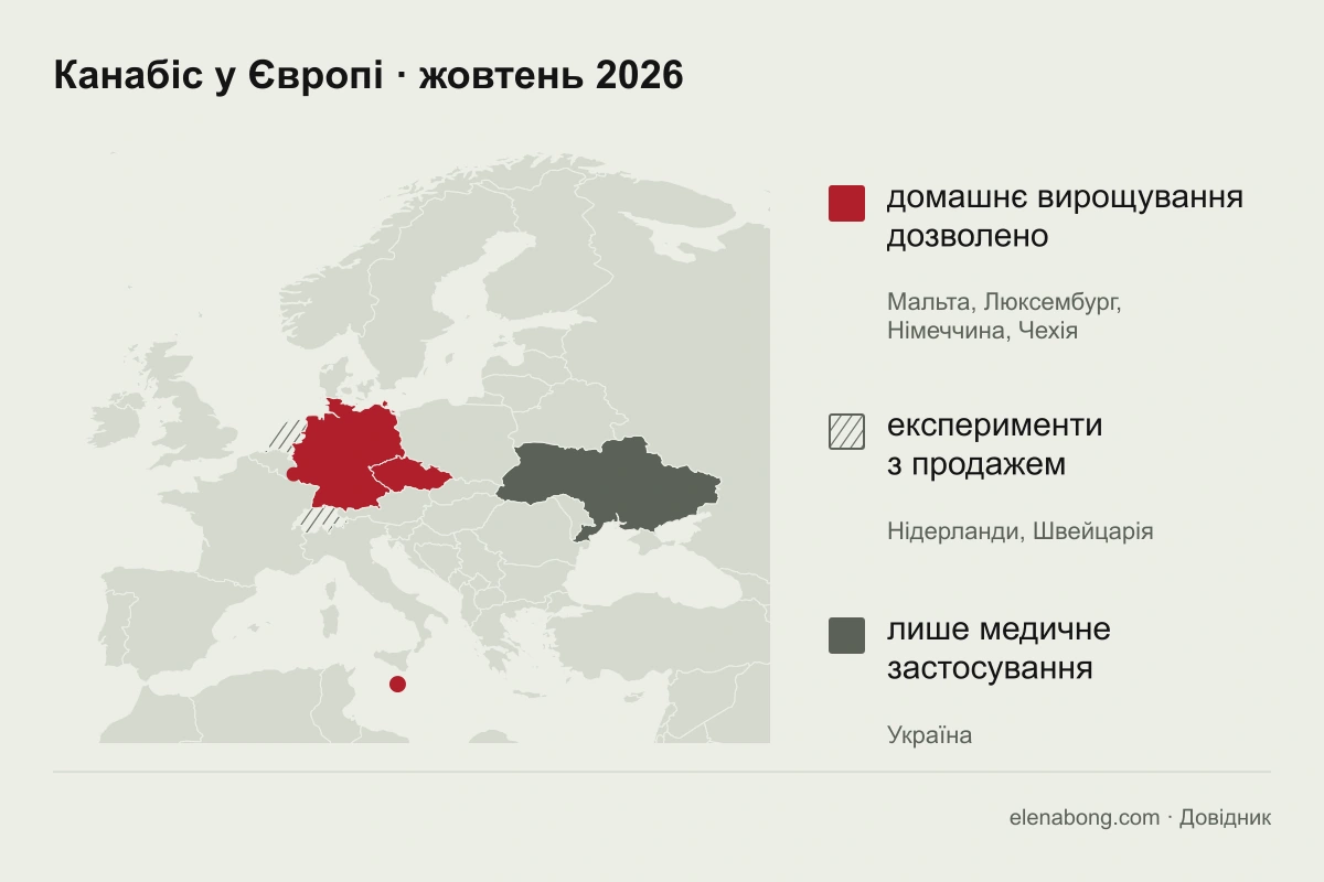 Карта Європи 2026 року: країни, де дорослим дозволено вирощувати канабіс удома