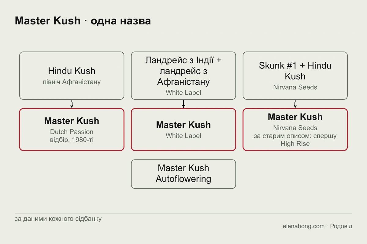 Схема трьох версій родоводу Master Kush: Dutch Passion виводить його від Hindu Kush, White Label від двох ландрейсів з Індії та Афганістану, Nirvana Seeds від Skunk #1 і Hindu Kush