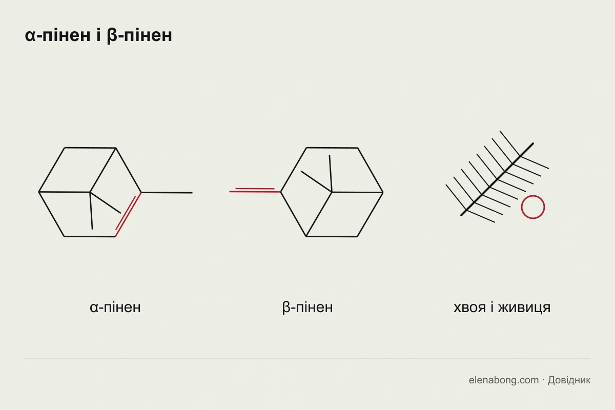 Структурні формули альфа- й бета-пінену і соснова гілка