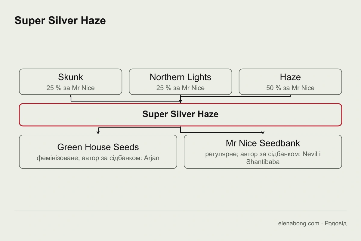 Схема родоводу Super Silver Haze: Skunk, Northern Lights і Haze дають Super Silver Haze, який продають Green House Seeds і Mr Nice Seedbank