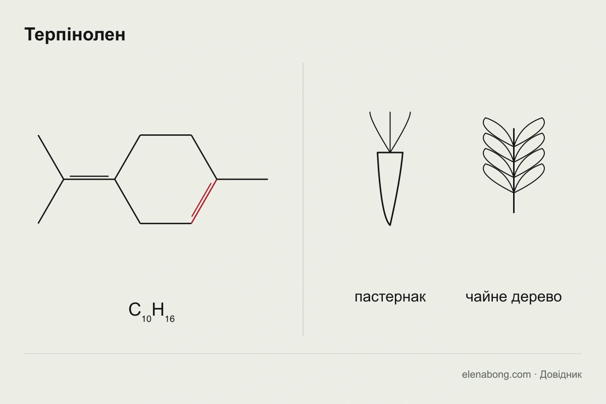 Структурна формула терпінолену і рослини, що його містять: пастернак і чайне дерево