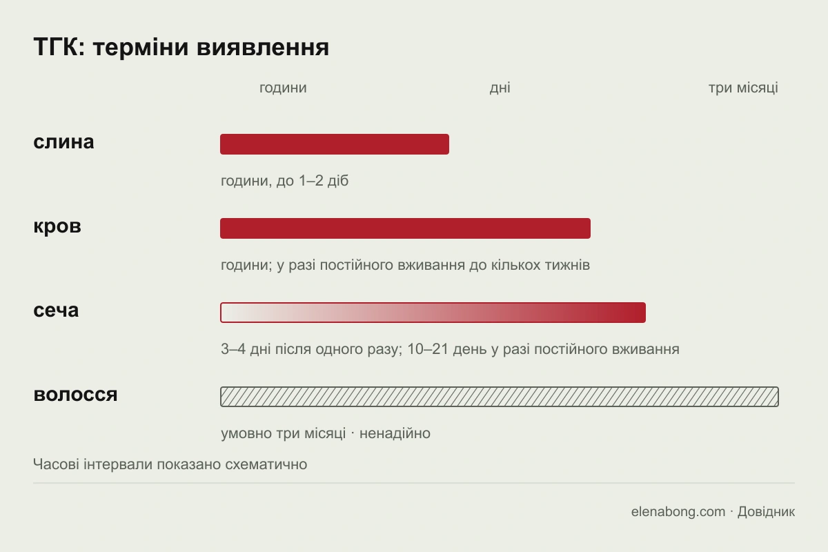 Шкала термінів, упродовж яких ТГК виявляють у слині, крові, сечі та волоссі