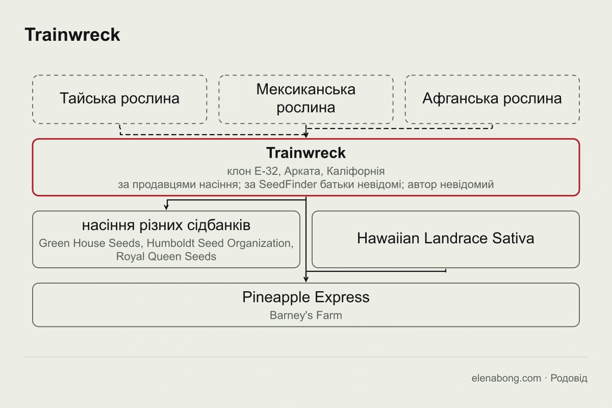 Схема родоводу Trainwreck: тайська, мексиканська й афганська рослини за словами продавців насіння дають клон E-32 з Аркати, від якого походить сорт Pineapple Express