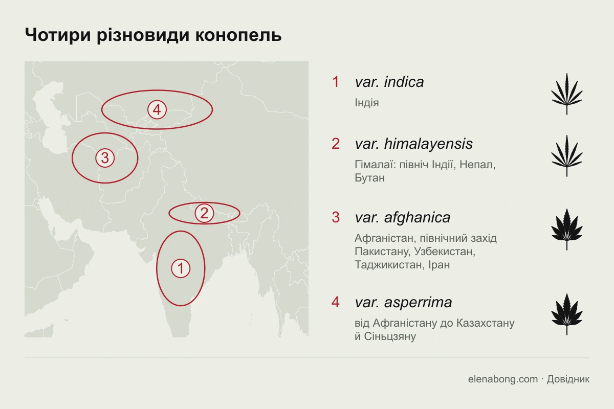 Карта Азії з ареалами чотирьох різновидів смолистих конопель за класифікацією 2020 року