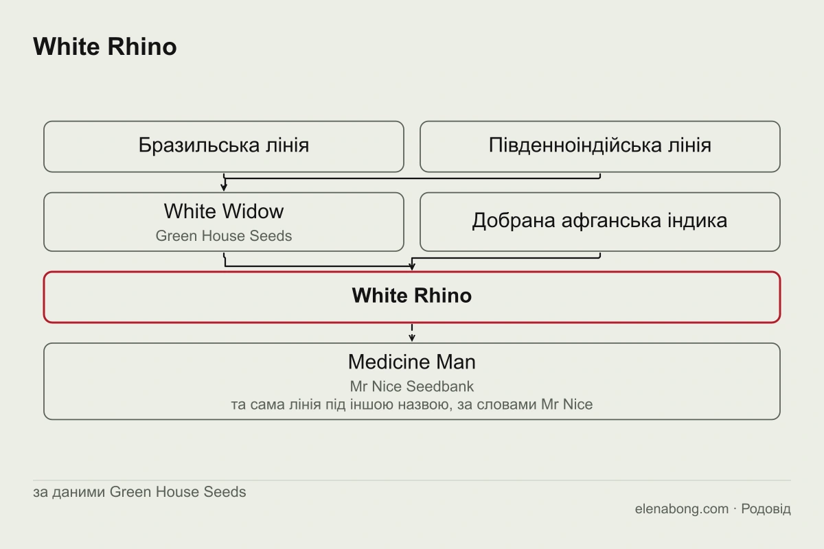 Схема родоводу White Rhino за даними Green House Seeds: бразильська і південноіндійська лінії дають White Widow, а White Widow з афганською індикою дає White Rhino