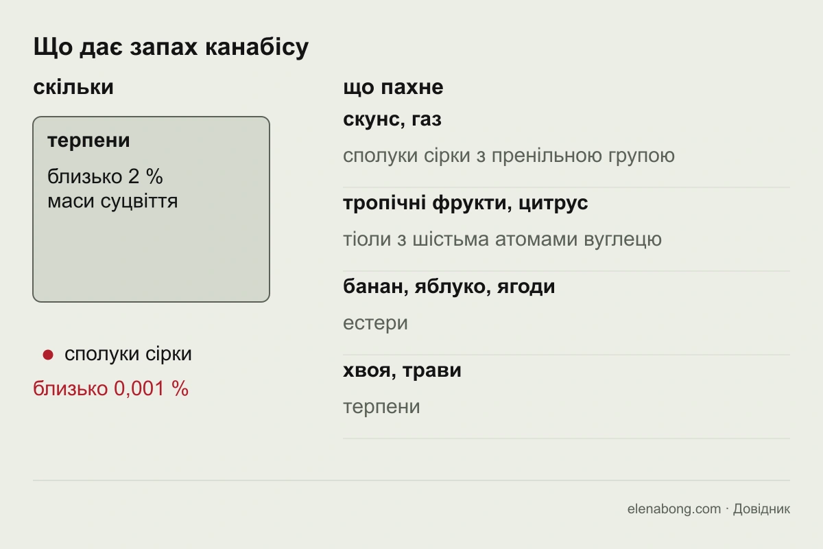 Схема: які речовини дають скунсову, цитрусову, фруктову й квіткову ноти в запаху канабісу