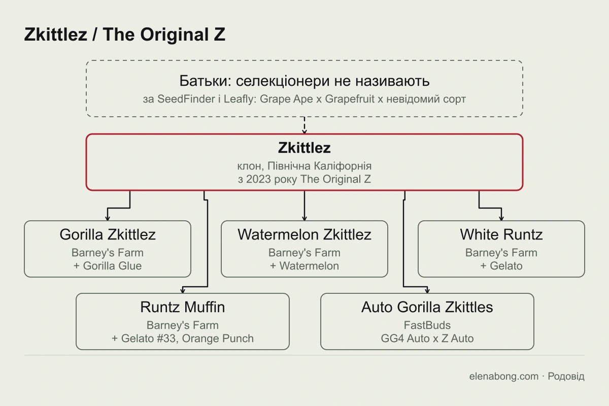 Схема родоводу Zkittlez: батьків селекціонери не називають, від клону Zkittlez, тепер The Original Z, походять Gorilla Zkittlez, Watermelon Zkittlez, White Runtz, Runtz Muffin і Auto Gorilla Zkittles