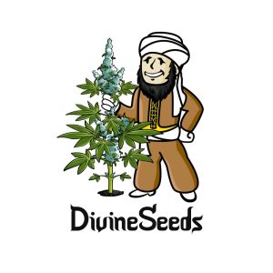 Divine Seeds Canada