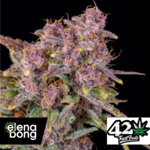 Auto Gorilla Punch