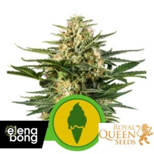 Auto Green Gelato