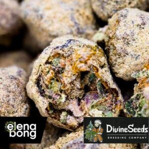 Auto Moon Rock