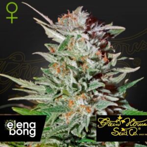 Auto Super Lemon Haze