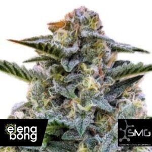 Bruce Banner