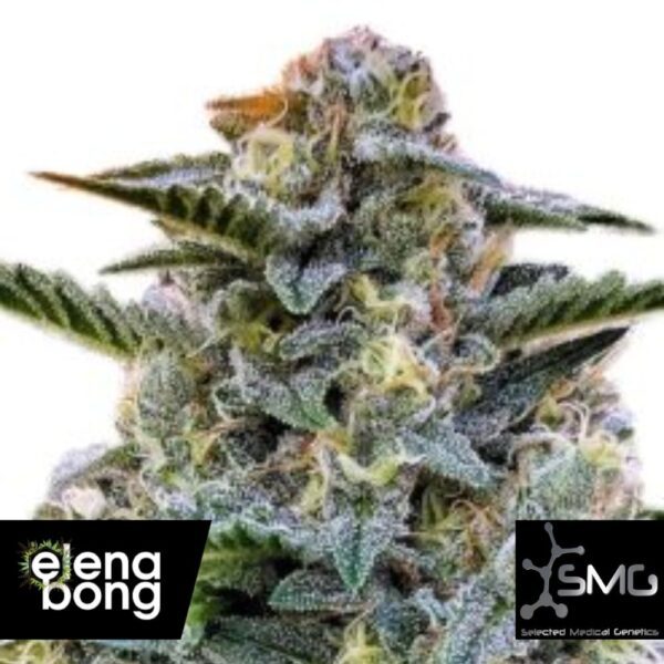 Bruce Banner