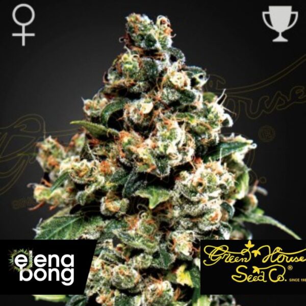 Jack Herer fem