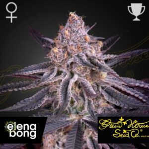 Kings Juice fem