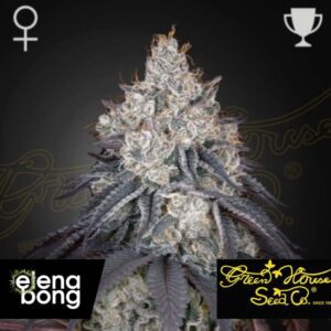 Lemon Orange fem