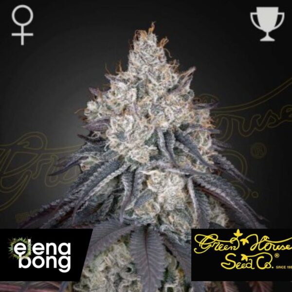 Lemon Orange fem