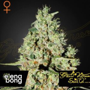 Super Critical fem